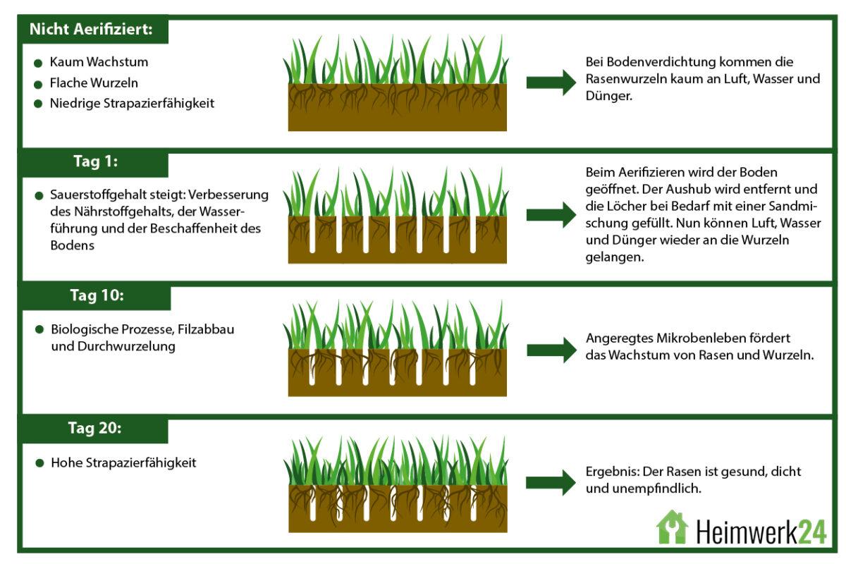 Schaubild über die Vorteile des Rasen Aerifizierens, was verändert sich an Rasen und Boden